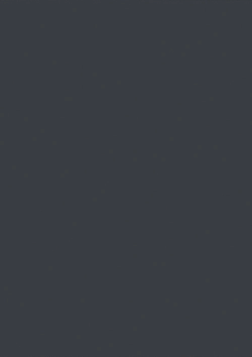 Антрацитово-серый гладкий 1 2054L 930L