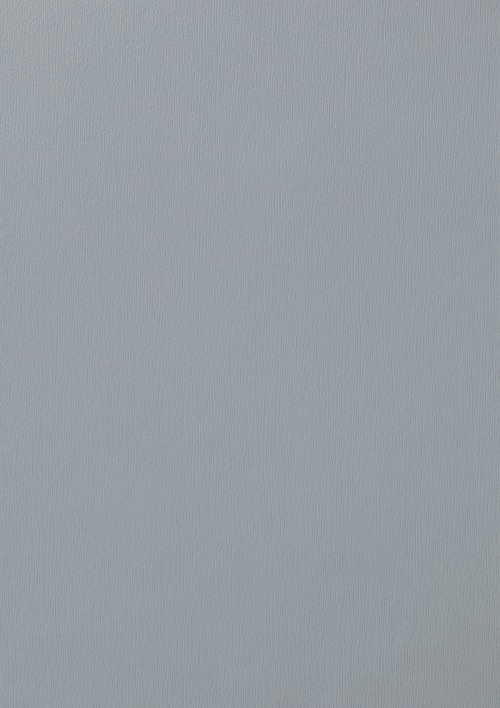 Светло-серый, тиснение со структурой дерева 9922